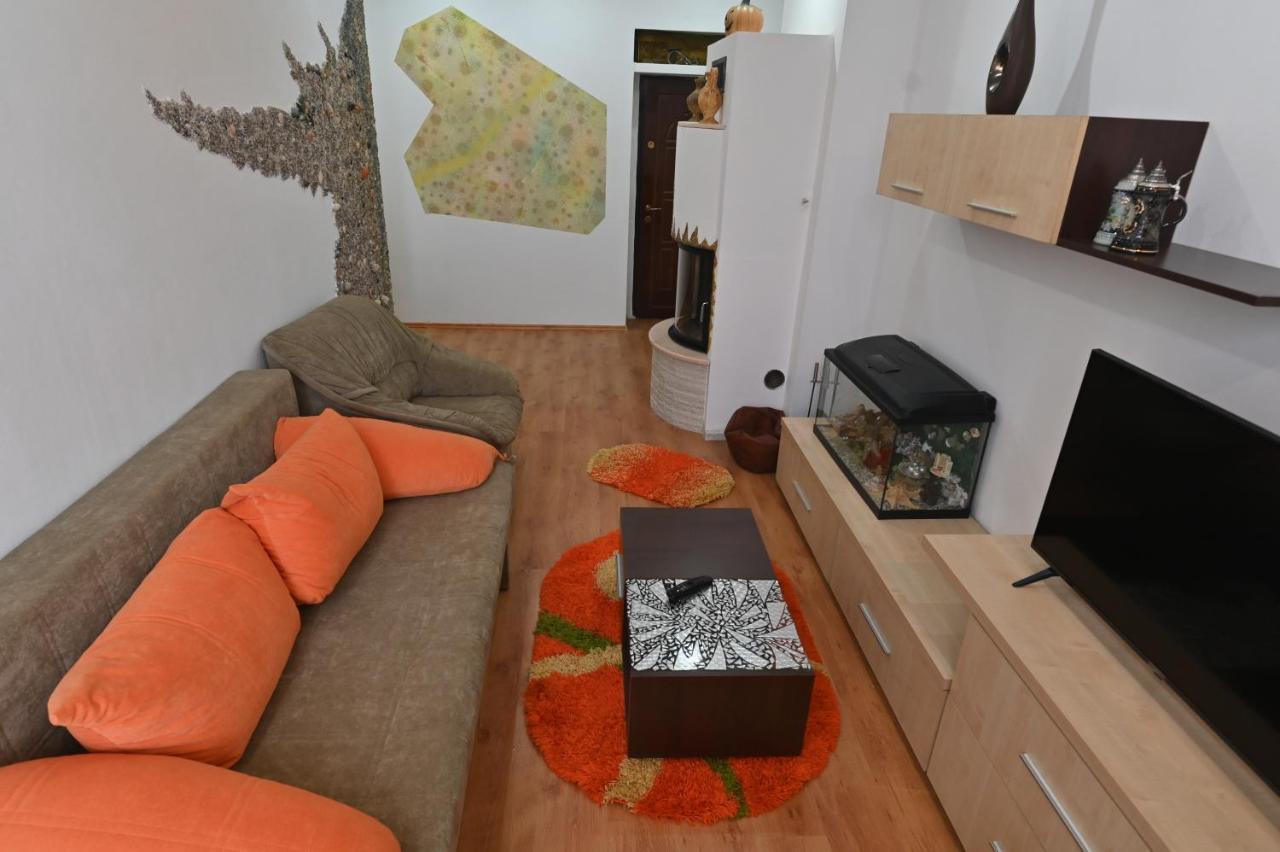 Apartament Camelia Petroşani Εξωτερικό φωτογραφία