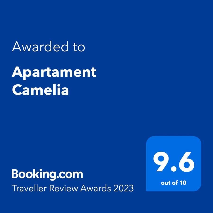 Apartament Camelia Petroşani Εξωτερικό φωτογραφία